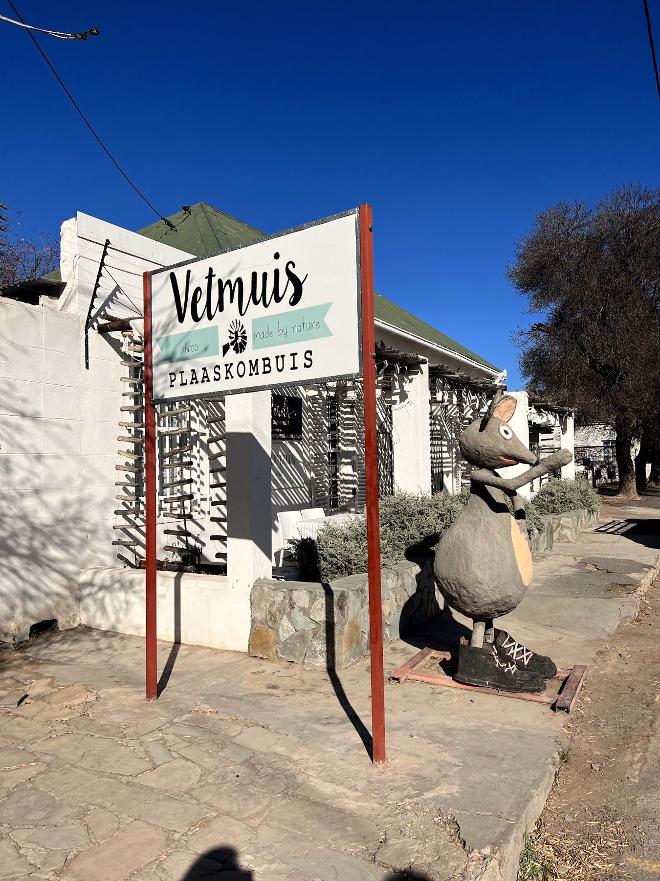 Vetmuis