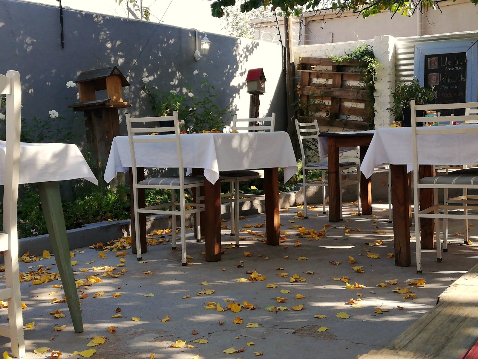 Die tuin
